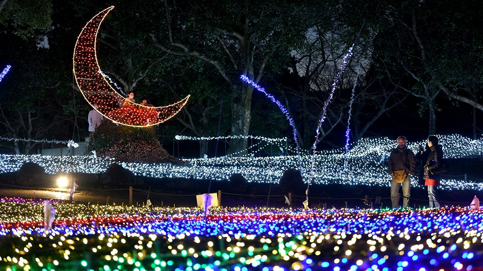 星降るリバーサイド　三日月イルミやシャンパングラスツリー、岐阜・木曽三川公園 | 岐阜新聞Web