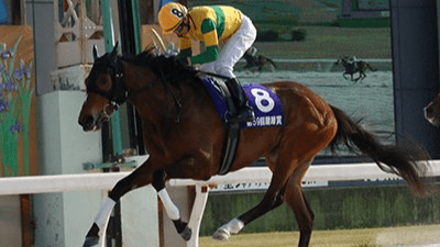 ニュータウンガール駿蹄賞ｖ まず１冠 岐阜新聞web