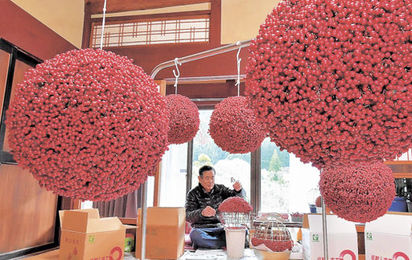 おすすめコーナー 郡上市八幡町 縁起いい 南天の町 岐阜新聞web