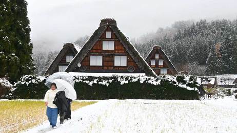 白川村合掌集落で初雪、今季初の雪化粧 観光客が冬の風景を撮影、飛騨