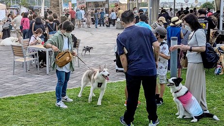 ペット 散歩 岐阜 セール