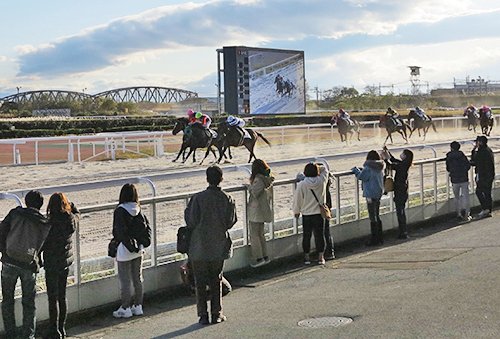 笠松競馬の歴代リーディングら次々「退場」 | 岐阜新聞Web