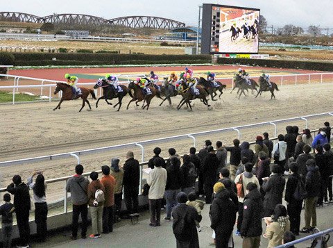 笠松競馬、新年度はＶ字回復「黒字５億7000万円」見込む | 岐阜新聞Web