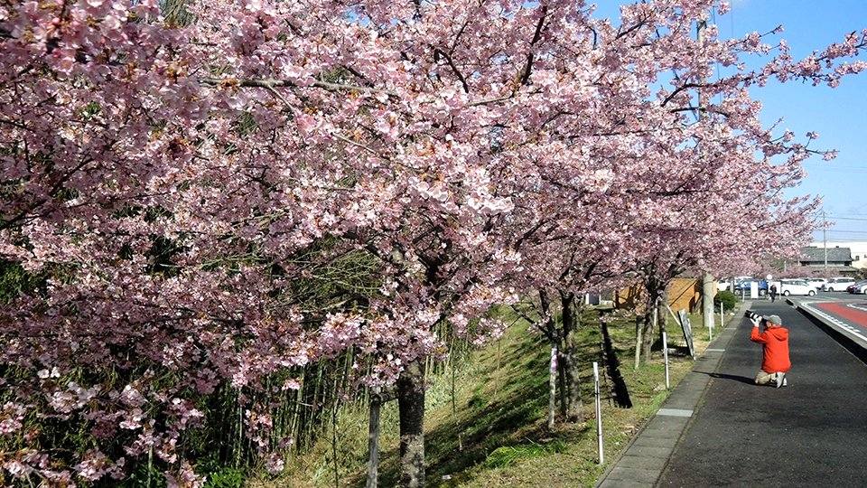 湯の華アイランド - その他