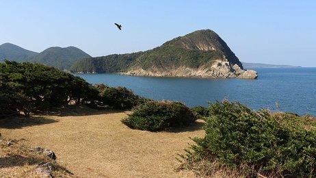 朝ドラ「舞いあがれ！」ロケ地・五島列島訪問 「バラモン凧」子どもには難しい？ | 岐阜新聞デジタル