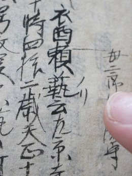 掛軸-1011 土岐頼芸 鷹図 印刷工芸作品 土岐の鷹 国盗り物語