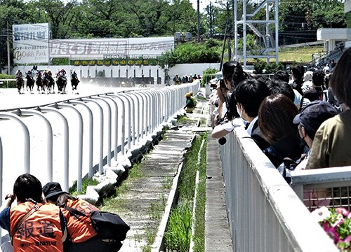 笠松競馬の馬券販売22％増、伸び率全国トップ（４～５月） | 岐阜新聞Web