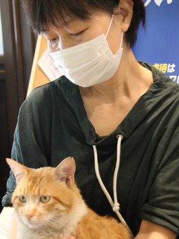 野良猫の不妊手術後に地域で世話 さくらねこ 拡大 餌付けと誤解 住民トラブルも 岐阜新聞web