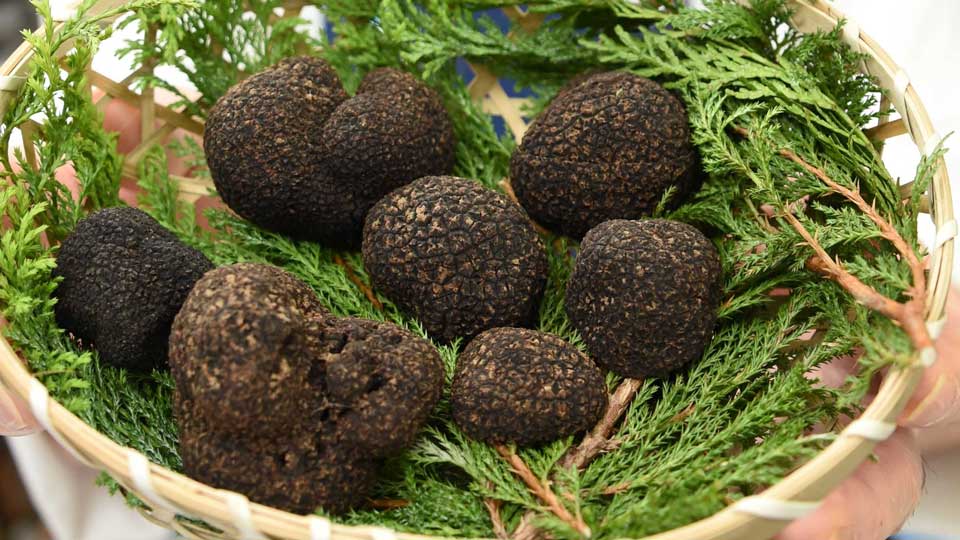 img_907a4031b47756ce55cbc010e4