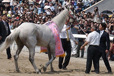 佐藤騎手ら４人の免許更新されず、再び騎手不足に | 岐阜新聞Web