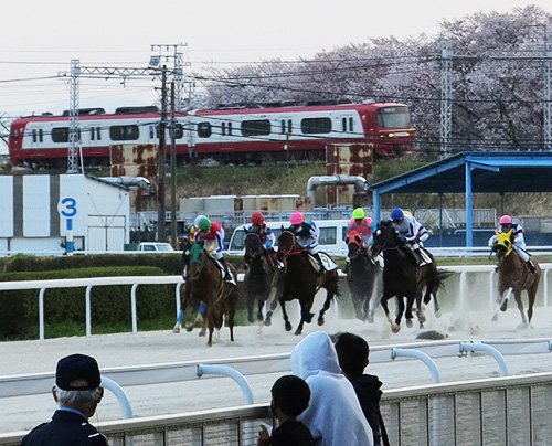 真夏の珍事 初勝利の セン馬 は 牡馬 だった 笠松競馬 岐阜新聞web