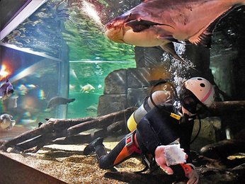 緊急事態宣言下 水族館の裏側 再会 望み飼育細心 アクア トトぎふ 岐阜新聞web