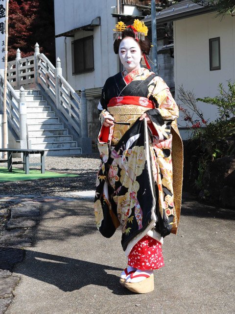 芸者の世界に飛び込み稽古、喜久すゞさん舞妓デビュー 岐阜でただ一人、期待を一身 | 岐阜新聞デジタル