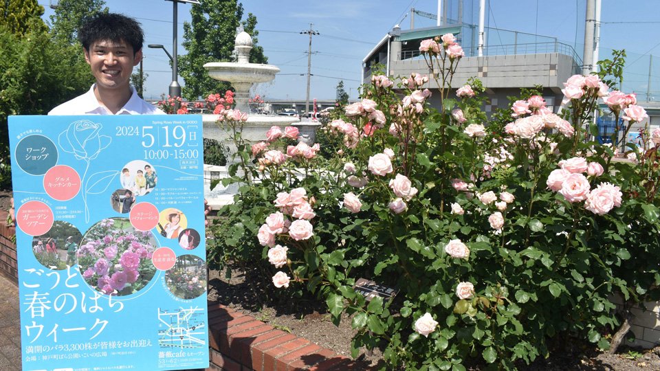 300品種のバラ、色や香りの違い楽しんで あす19日、岐阜・神戸町