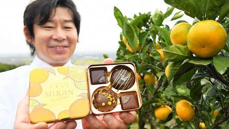 ミカン畑のような新作チョコ「南濃みかん」酸味との相性ぴったり 岐阜