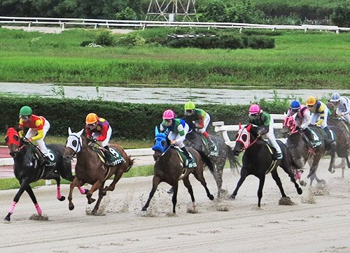 笠松競馬の元騎手ら「当たってしまう馬券」購入 | 岐阜新聞Web