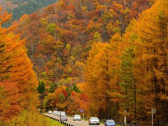 新緑や紅葉、岐阜県屈指のドライブコース 飛騨美濃せせらぎ街道 | 岐阜