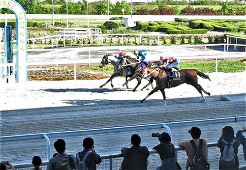 笠松競馬の馬券販売22％増、伸び率全国トップ（４～５月） | 岐阜新聞Web