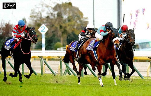 国枝栄調教師「アーモンドアイ」「笠松競馬、オグリキャップ」を語る