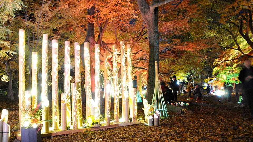 もみじ祭で初のライトアップ盛況、岐阜・可児市 竹のオブジェや演奏