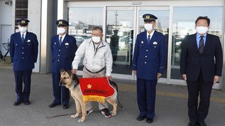 鼻の捜査官200回以上出動・警察犬シェパード「あたり」天国へ 鼻の捜査官200回以上出動・警察犬シェパード「あたり」天国へ