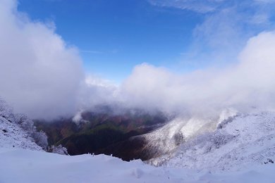 伊吹山が初冠雪 平年より１２日遅く | 岐阜新聞Web