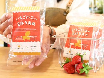 いちごハニーミルクあめ」５品種ブレンド 蜂蜜専門店と体験農園コラボ