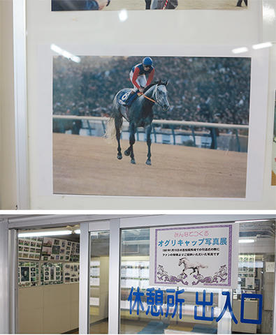 オグリキャップ写真展（ぶらり競馬場） | 岐阜新聞デジタル