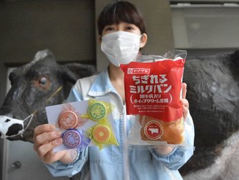 ミルクパン」上品な甘さ 関牛乳と山崎製パンがコラボ | 岐阜新聞デジタル