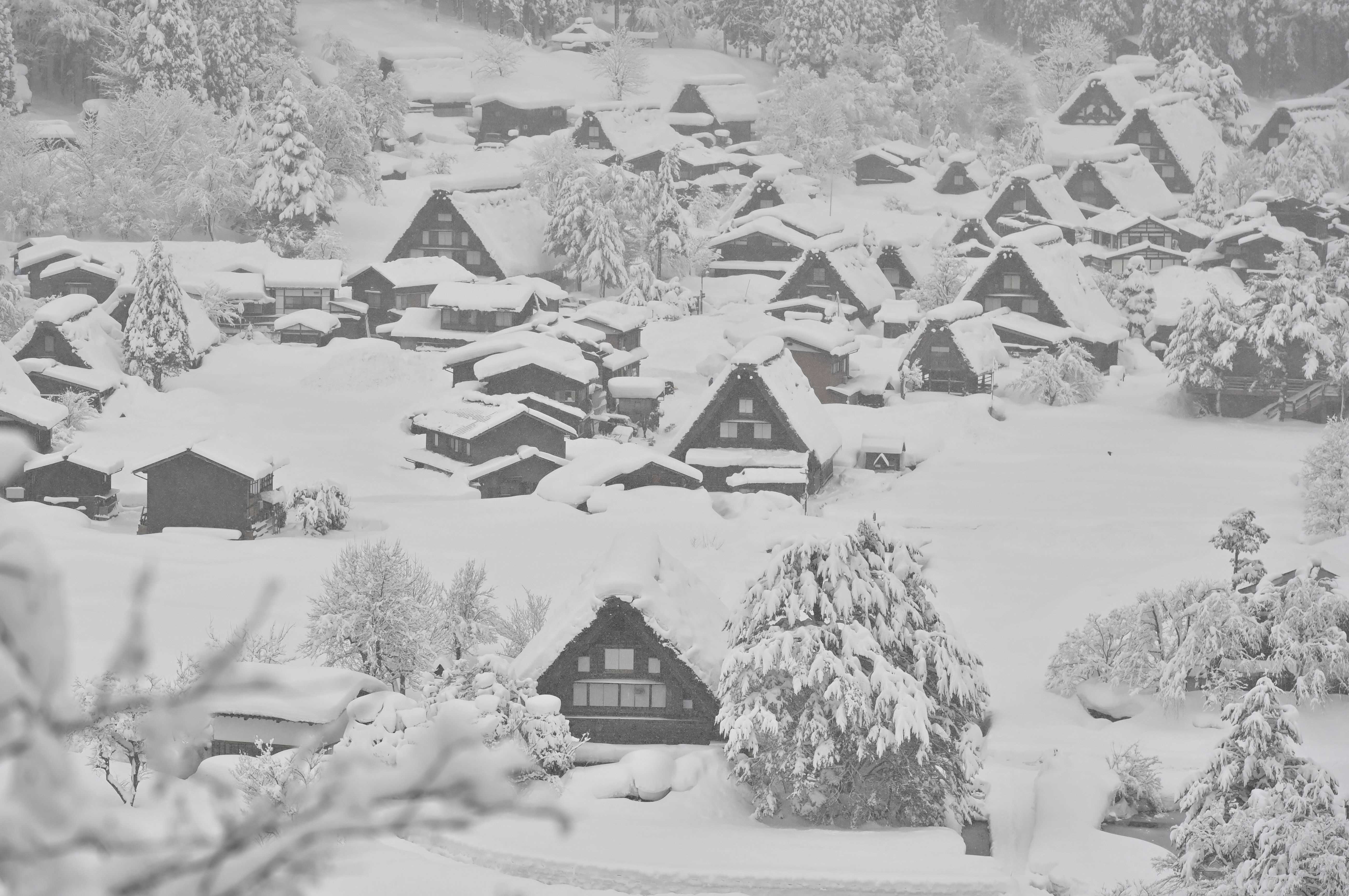 大雪の原因は「JPCZ」現象 白川村は〝全国一〟 関ケ原町は観測史上