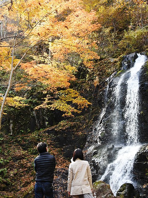滝つぼで踊る紅葉の美 滝の名所 宇津江四十八滝 岐阜新聞web