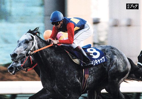 笠松競馬、オグリキャップは永遠の輝き | 岐阜新聞Web