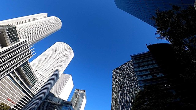 20210309145044-5b09856b.jpg