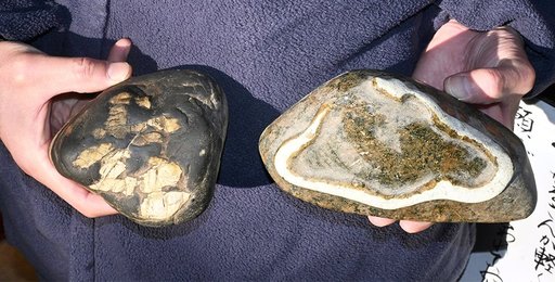 ヘビの姿浮かぶ「白蛇石」発見 岐阜・関善光寺、２８日から一般公開 | 岐阜新聞デジタル