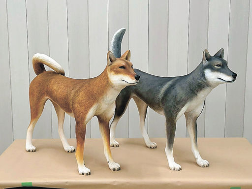 奈良・纒向遺跡の出土骨から復元 卑弥呼もなでた犬かも | 岐阜