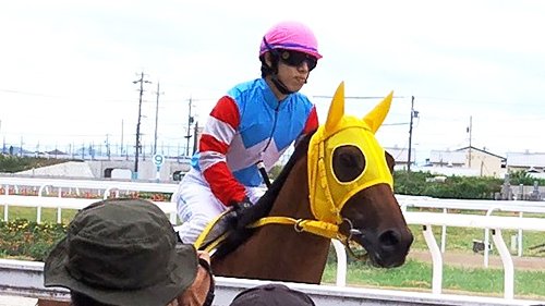 現地的中単勝馬券　エアグルーヴ　オークス　競馬　馬券　アイドルホース　ウマ娘 笠松アイドルホース選手権」スティルアイライズ優勝☆アオラキ連覇なら