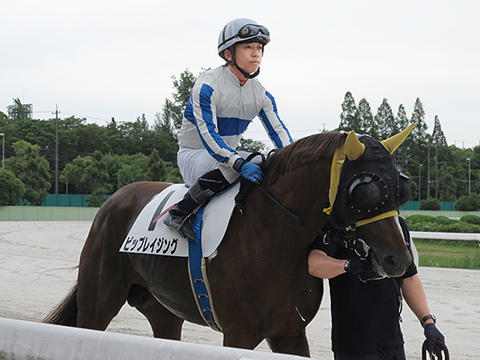 東海ダービー制覇 笠松競馬にも活気 岐阜新聞web