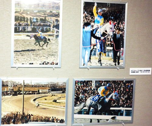 ウマ娘ファンも熱視線、フェートノーザン優勝レイなど「ウマ年