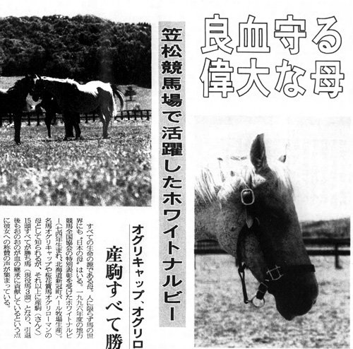 ４コーナーで賞金が分かっていた馬」～オグリキャップ元調教師の鷲見昌