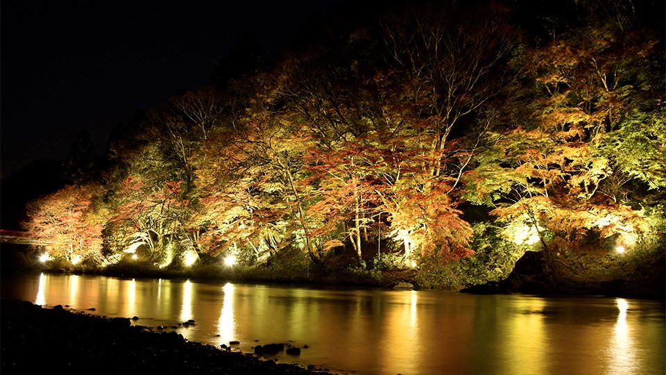 岐阜県 安い チジミ 照明