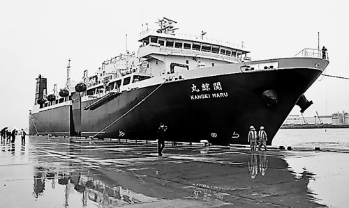 商業捕鯨終え仙台入港 東京や大阪に出荷へ | 岐阜新聞デジタル