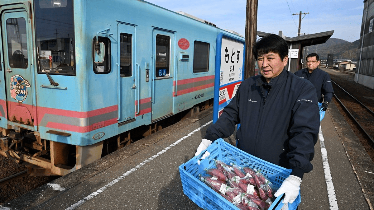 樽見鉄道とJAぎふ「貨客混載」事業スタート 本巣市内、列車で新鮮な