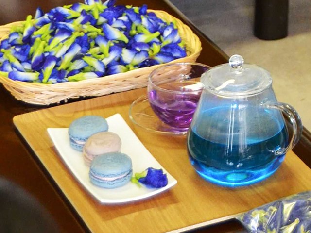 爽やかなブルースイーツ 加茂農林高生 ハーブ バタフライピー 天然色素で開発 岐阜新聞web