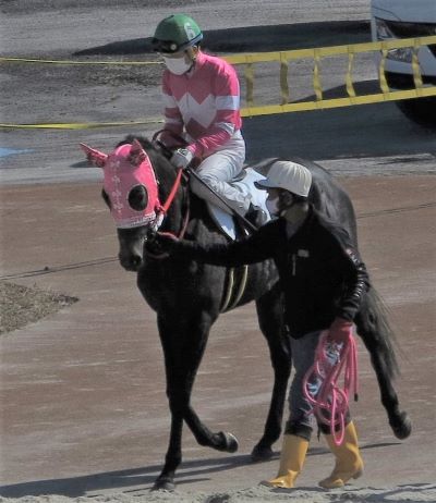 笠松競馬の次回開催取りやめ、巨額赤字減らせるか | 岐阜新聞Web