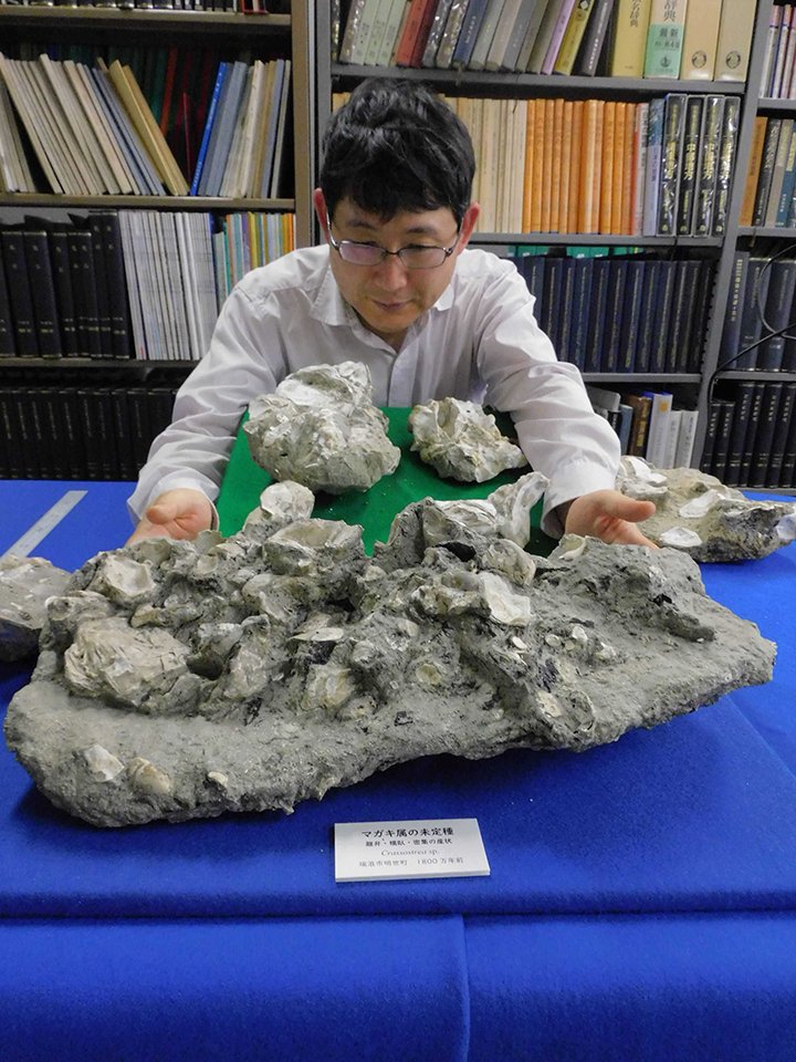 img_d84c9124e5905da98bbcb4ccb2