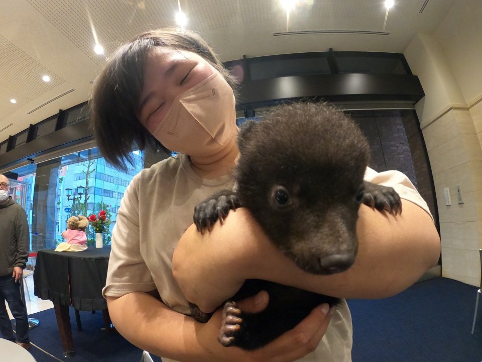 子クマを抱っこ「命の尊さ知って」 奥飛騨クマ牧場で２２日から記念