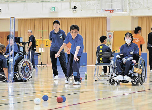岐阜で知るボッチャの戦術と遊び方