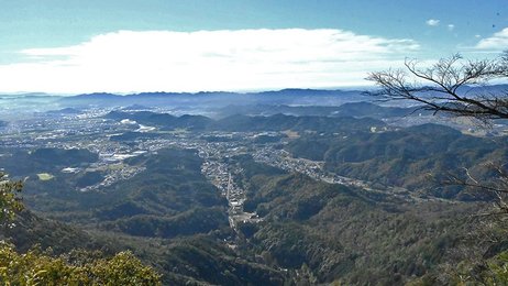 低山散歩】天王山 美濃市 もみじ谷を生んだ巨木、登山道には岩場の難所