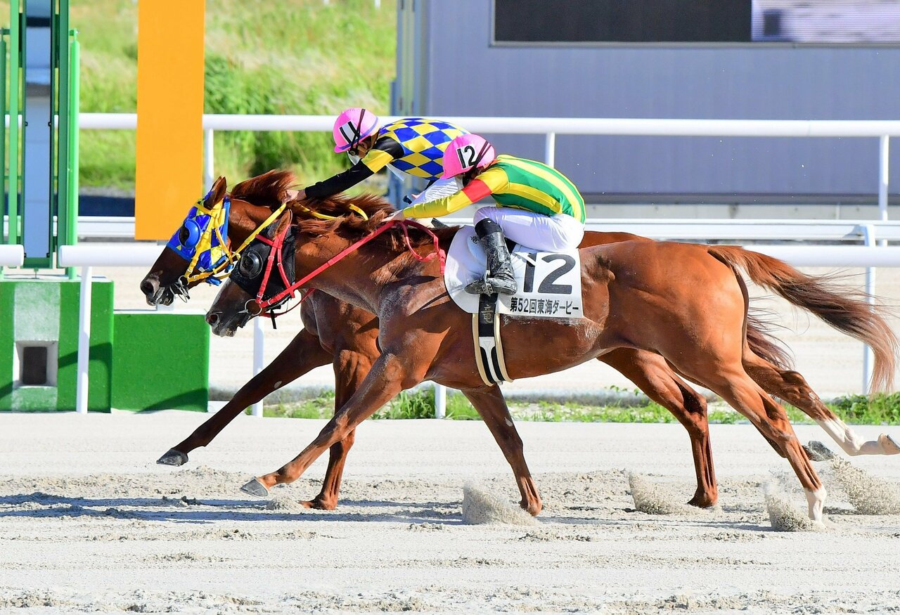 東海ダービーでタニノタビト２冠 イイネイイネイイネ猛追２着 名古屋 笠松競馬リーディング名勝負 岐阜新聞web