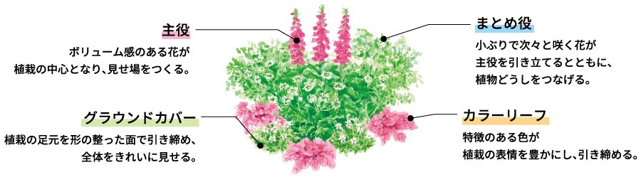 春から始める Gardening特集 岐阜新聞web